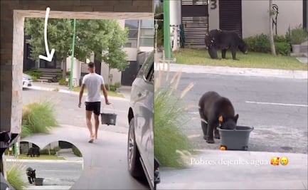Maxi Meza, jugador de Rayados, le sirvió agua a un grupo de osos ante la ola de calor en Monterrey