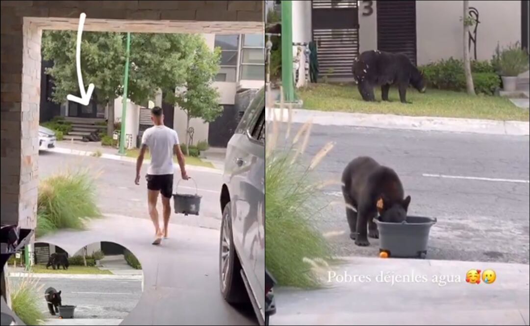 Maxi Meza le ofreció agua a un grupo de osos en Monterrey / Foto: Especiales