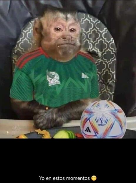 México pierde contra Argentina se convierten en blanco de los memes