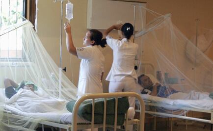 ¿Qué es la fiebre amarilla y cómo cuidarte?