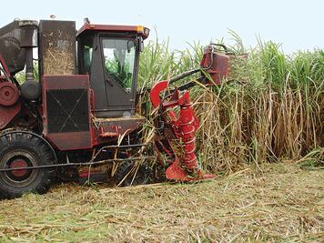 México y EU alcanzan acuerdo en tema azucarero