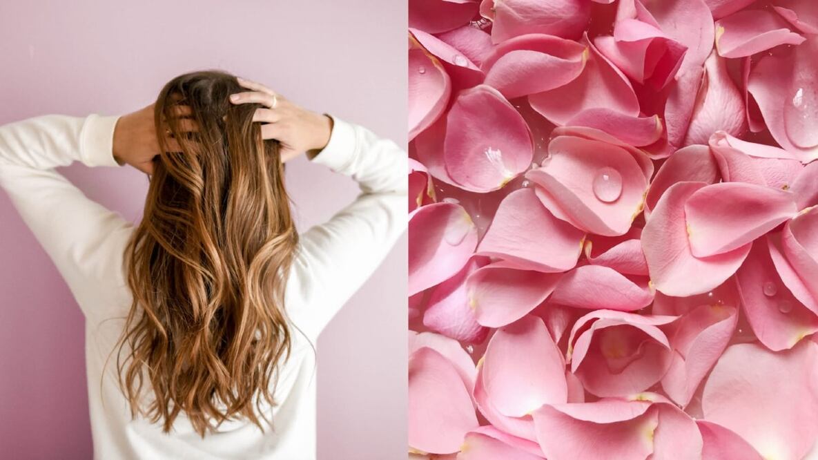 Luce una melena de impacto con ayuda del agua de rosas / Foto: Pexels 