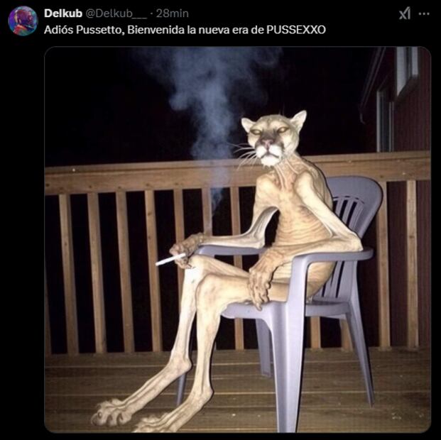 Los MEJORES MEMES de Pumas