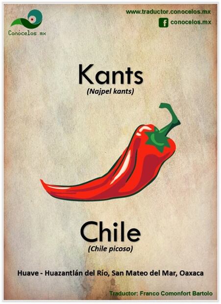 Con esta aplicación podrás aprender a hablar mixteco