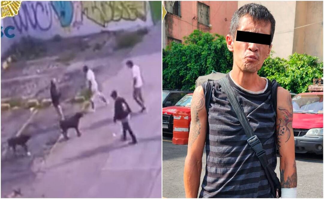 Sujeto mató a un perrito en Eje Central. Foto: Especial