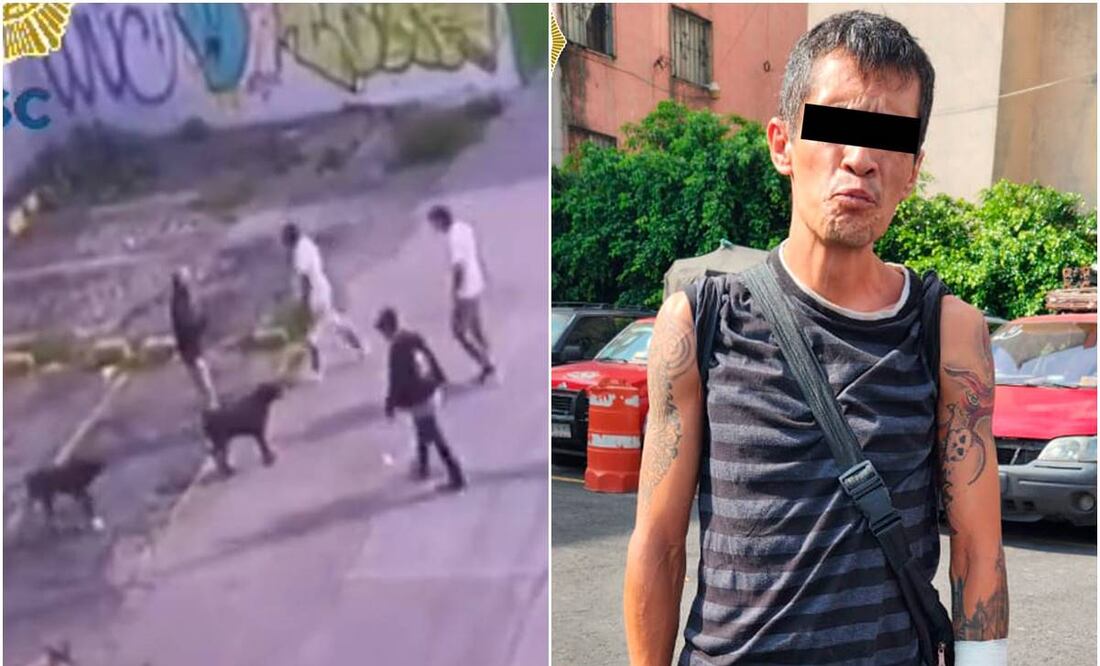 Sujeto mató a un perrito en Eje Central. Foto: Especial