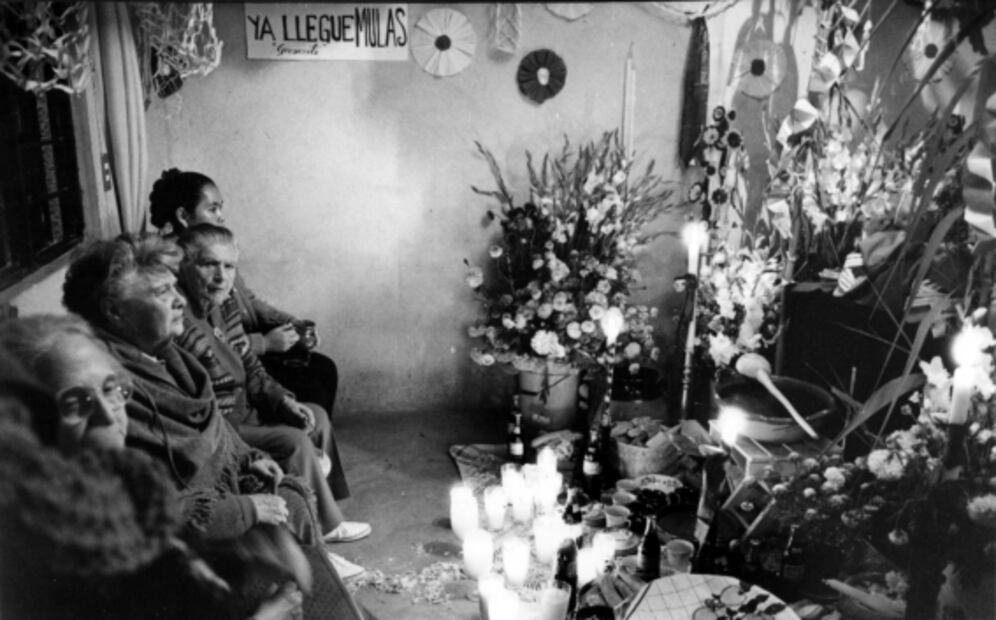 La flor que acompaña a nuestros muertos