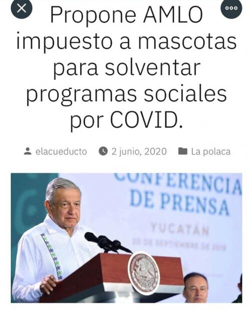 ¿Es verdad que AMLO quiere cobrar un impuesto por tener mascotas?