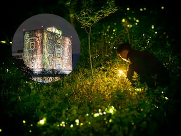 Dónde y cuándo es el Festival de las Luciérnagas de la UNAM