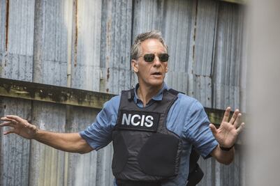 Tras interpretar a un policía en "NCIS", Scott Bakula reconoce a las fuerzas de seguridad honestas