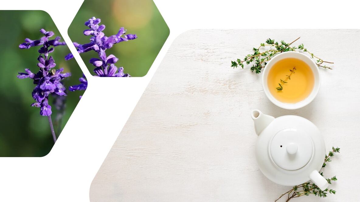 El té de salvia puede ser tu mejor amigo durante la temporada invernal que se aproxima, te contamos por qué. Fotos: Pixabay