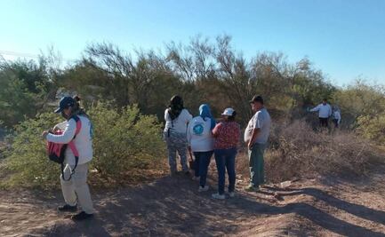 Asesinato de tres hermanitas en Sonora causa indignación; fueron halladas abrazadas y con signos de violencia, esto se sabe