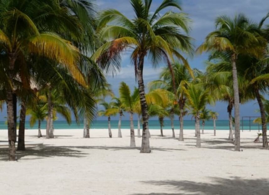 Relájate en Isla Pasión, un paraíso poco conocido muy cerca de Cozumel