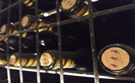 En Coahuila hay buen vino, conoce estas 4 bodegas