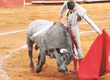 Otorgan suspensión definitiva a corridas de toros en Guadalajara