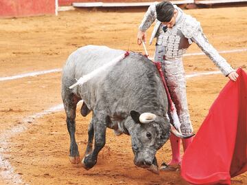Sala Constitucional desecha recurso contra corridas de toros; suspensión contra iniciativa queda sin efecto