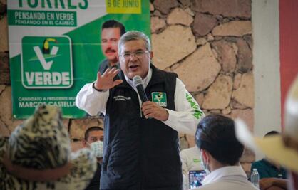 PVEM rechaza declinar por Morena en Michoacán; "no es la opción", dice candidato