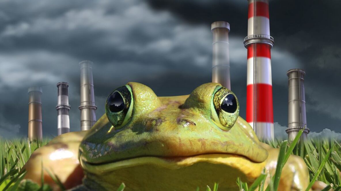 ¿Nos dejaremos llevar por el efecto de la rana hervida? Foto: Getty vía BBC