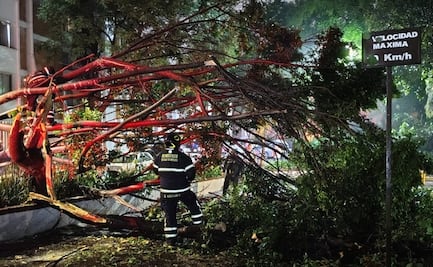 Lluvias dejan 24 encharcamientos y 31 árboles caídos en la CDMX; se atienden caídas de postes y cortocircuitos 