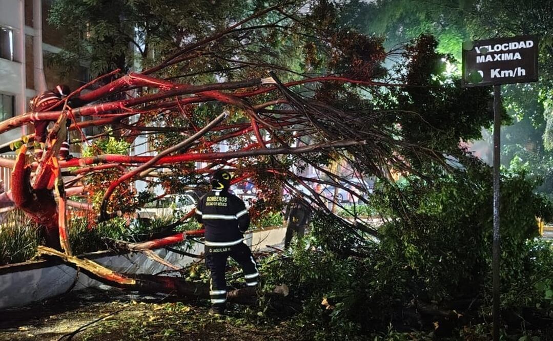 Foto: @Bomberos_CDMX