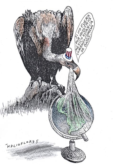 Cartón de HELIOFLORES