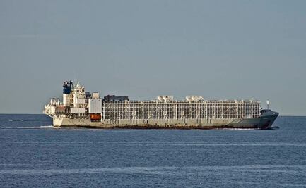 Buque se hunde cerca de Japón con 43 personas y 6 mil vacas