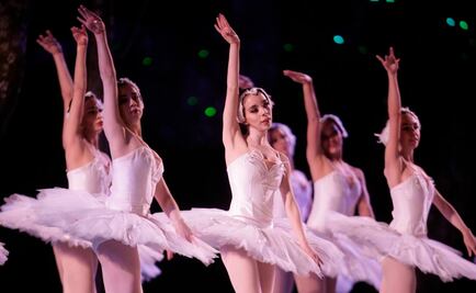 Por segunda vez, los cisnes no salen a bailar