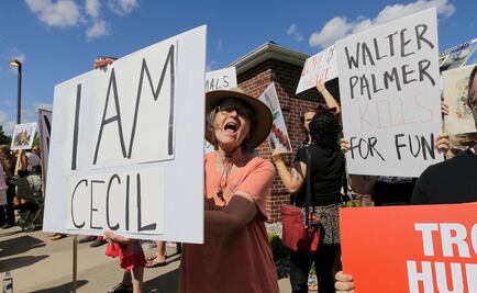 Reaparece dentista que mató a Cecil; defiende acciones