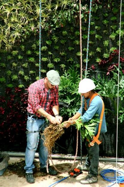 El hombre que “pinta” murales vegetales