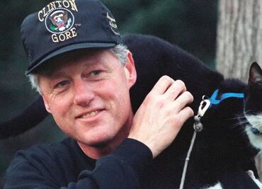 Socks, el minino de Bill Clinton que inspiró el Día Internacional del Gato