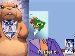 Pachuca es víctima de burlas tras derrota en Mundial de Clubes; estos son los MEJORES MEMES
