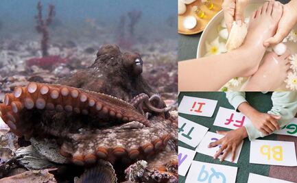 ¿Qué efemérides se celebran este 8 de octubre?