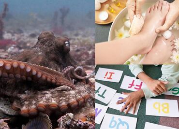 ¿Qué efemérides se celebran este 8 de octubre?