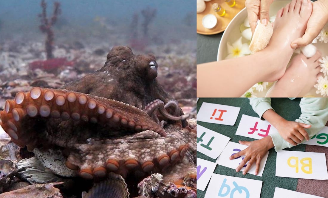 ¿Qué efemérides se celebran este 8 de octubre?