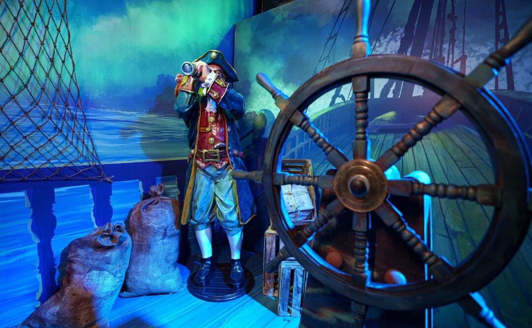 Pirata. Imagen: Acuario Inbursa Facebook