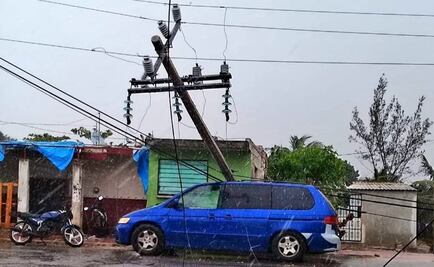 Frente frío 31 provoca caída de postes y árboles en Yucatán