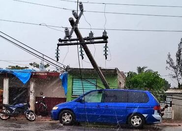 Frente frío 31 provoca caída de postes y árboles en Yucatán