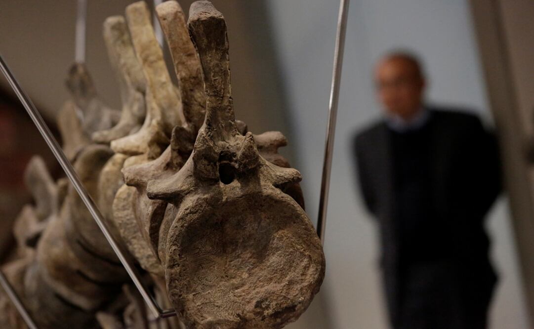 Foto: Reuters/Daniel Becerril, archivo