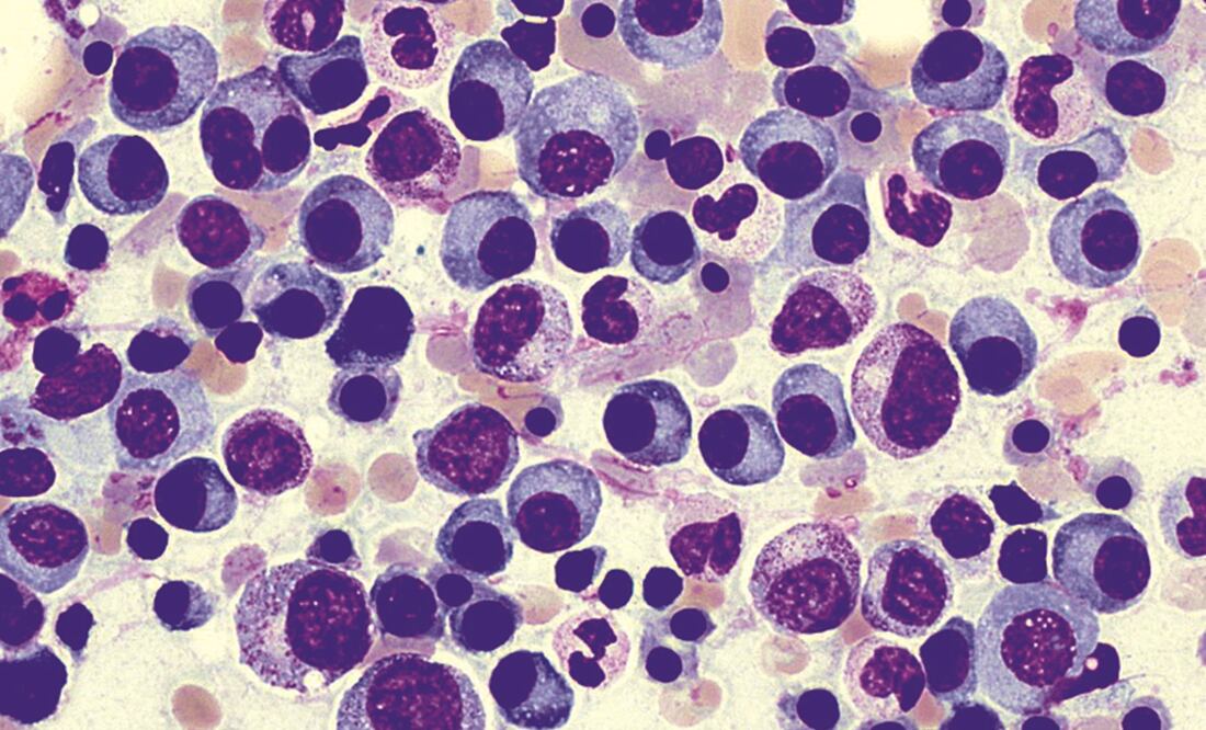 Foto: Archivo /EL UNIVERSAL