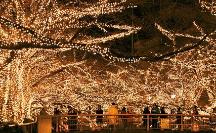 Christmas village in Xochimilco