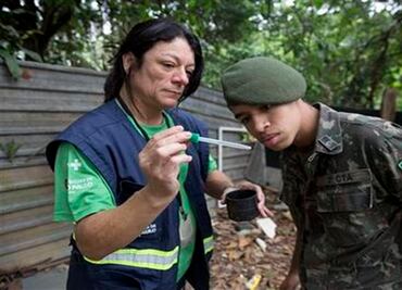 Spreading Zika virus a new economic strain for Latin America