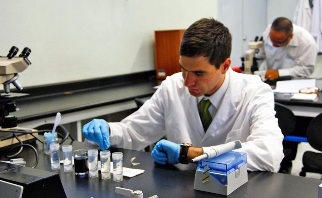 At first, the device will focus on detecting breast cancer, according to a press release issued by the university through their website