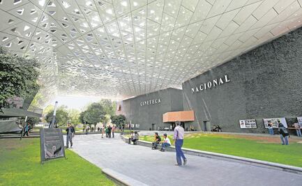 Difícil, calculan, acudir a las nuevas cinetecas