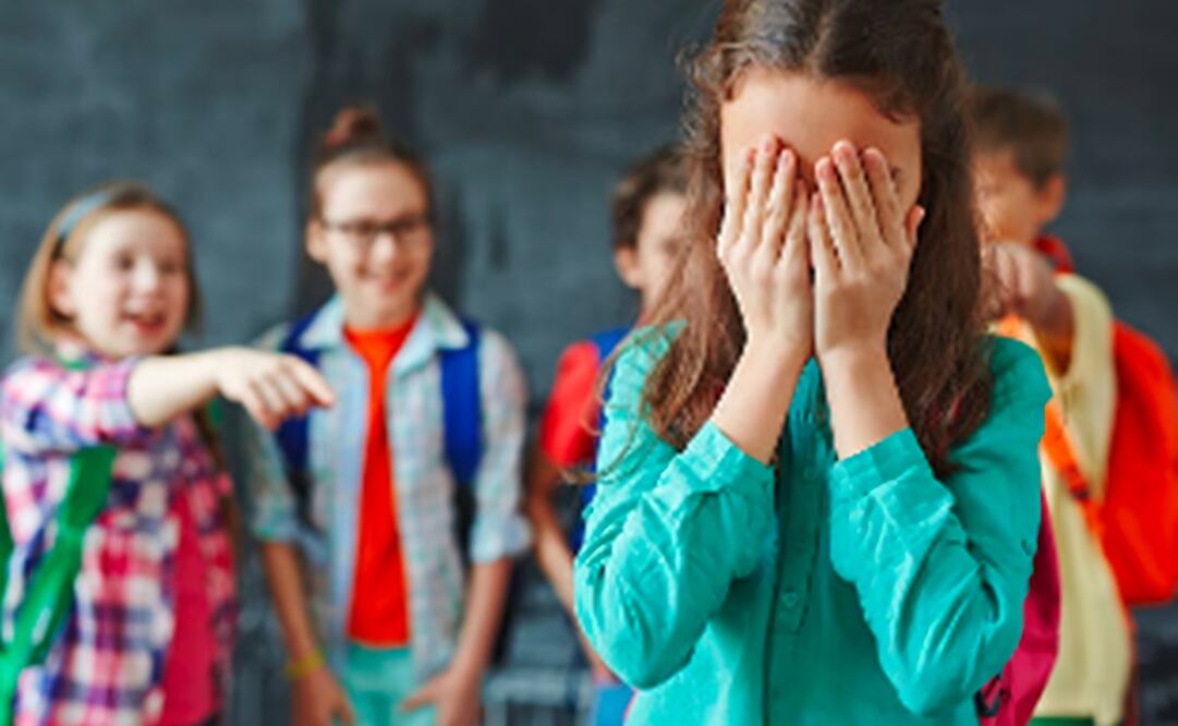 Diputados del PAN en la CDMX proponen castigar bullying con cárcel y tratamiento psicológico. Foto: Pixabay