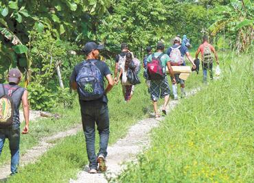 Van por registrar las detenciones de migrantes