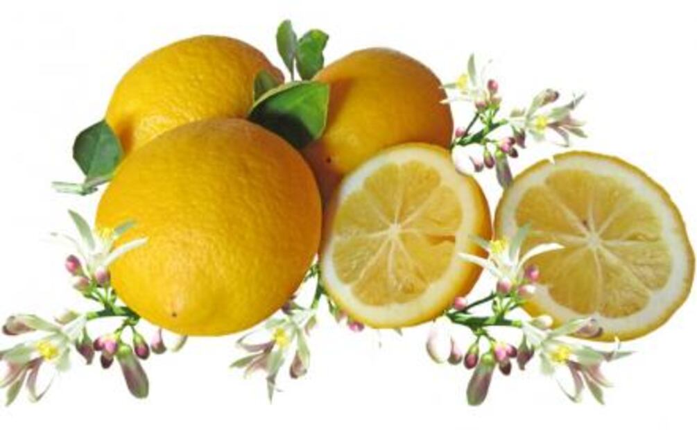 Alimentos que cuidan tu hígado