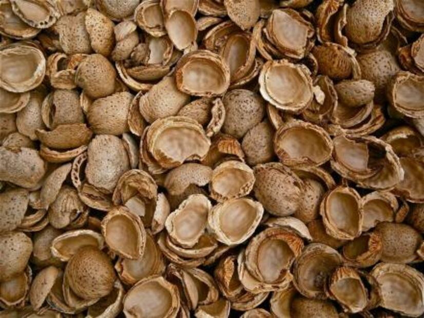 7 razones para comer almendras