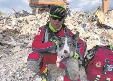 A 22 años del 11-S, recuerdan a perros rescatistas: "se deprimían al hallar sólo cadáveres"