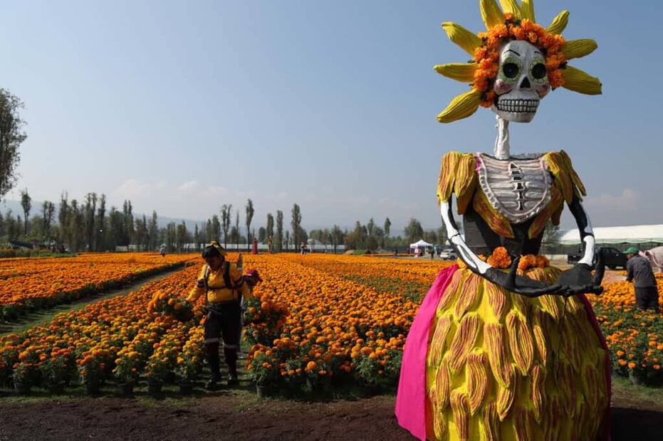 Foto: Gobierno de la Ciudad de México