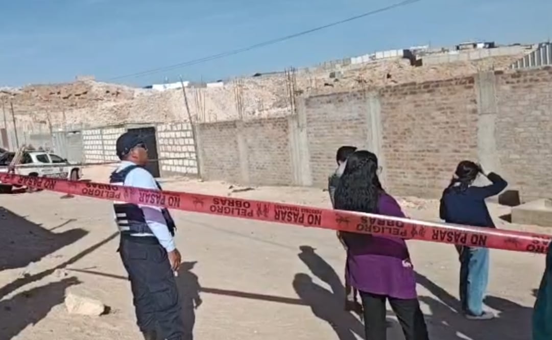 Vecinos reportaron que una mujer de 72 años muere tras ataque de perros en Perú (29/05/2026). Foto: Captura de pantalla
